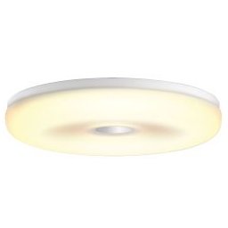 Struana Hue Ceiling Lamp White 1x27W 24V