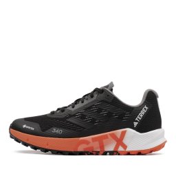 adidas Terrex Agravic Flow 2 Gore-Tex