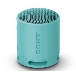 Sony SRS-XB100 Portable Bluetooth Speake