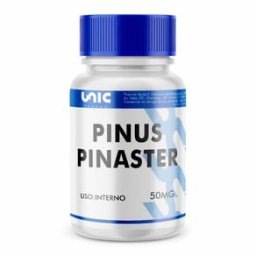 Pinus Pinaster 50mg