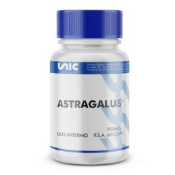 Astragalus 500mg