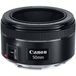 LENTE CANON STM IMAGENS NOTAVEIS 50mm