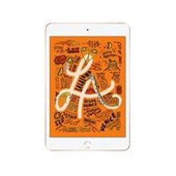 Apple iPad mini 5 WiFi + Cellular 256GB