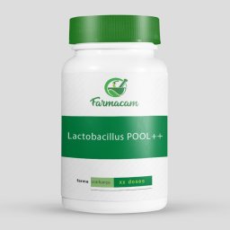 Lactobacillus POOL++