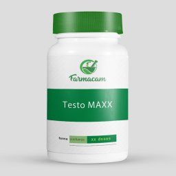 Testo MAXX