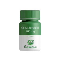 Coleus forskohlii 200 mg