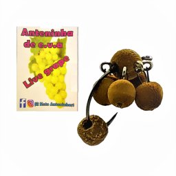 Anteninha JR Neto - Live Grape -Revestida de Ração