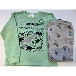 Pijama Masculino Infantil Abrange Dinossauro que brilha no Escuro Moletom Flanelado Verde com Cinza 9060