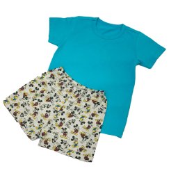 PIJAMA MASCULINO INFANTIL EVANILDA DISNEY EM ALGODÃO 52560006