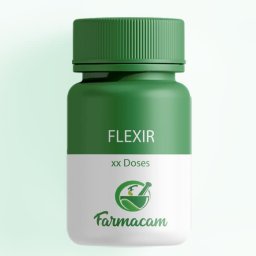 Flexir