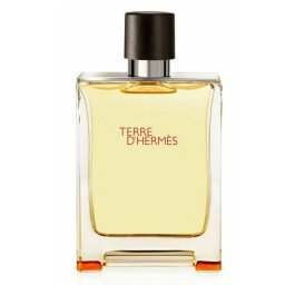 Terre D'Hermès Eau de Toilette 100mL