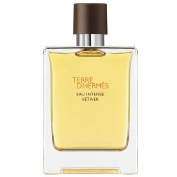 Terre D'Hermès Eau Intense Vétiver 100mL