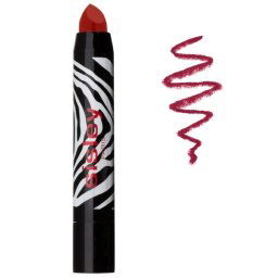 Phyto Lip Twist Matte Bálsamo de Cor 2,5g 22 Burgundy