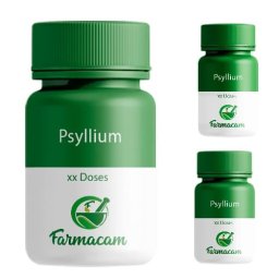 3 Psyllium 500mg 60 doses