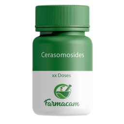 Cerasomosides
