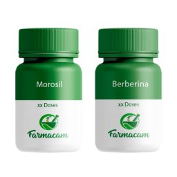 Kit Berberina 500mg 60 doses + Morosil 500mg 30 doses