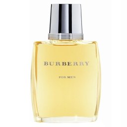 Burberry for Men Eau de Toilette 100mL