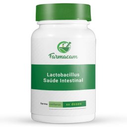 Lactobacillus - Saúde Intestinal