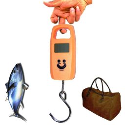 Balança Digital de Bagagem Mala Viagem Pesca 50 kg Gancho Laranja CBRN02634