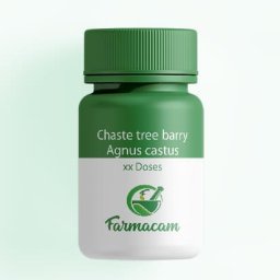 Chaste tree barry - Agnus castus