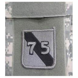 MILITARY RANGE nášivka 75th INFANTRY DIVISION VELCRO - FOLIAGE