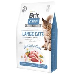 Brit Care Cat GF Large Cat 400 g