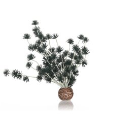 biorb rostlina Bonsai černá
