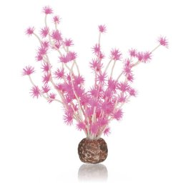 biOrb rostlina Bonsai růžová