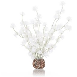 biOrb rostlina Bonsai bílá