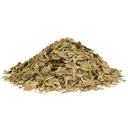 Profikoření - Ginkgo biloba, Jinan dvoulaločný list řez (200g)