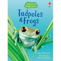 Tadpoles and Frogs