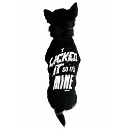 psí obleček KILLSTAR - Lick - KSRA003155