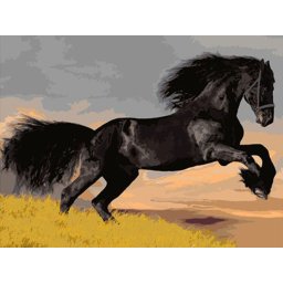 Gaira® Malování podle čísel Černý kůň M1498