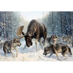 Gaira® Malování podle čísel Los v obklíčení M1457