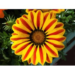 Gaira® Malování podle čísel Červeno-žlutý květ M992295