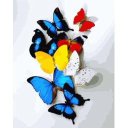 Gaira® Malování podle čísel Motýli M992858