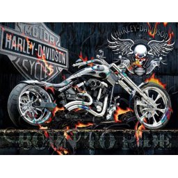 Gaira® Malování podle čísel Motorka M3234YT