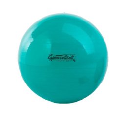 PEZZI GymBall míč, zelený, krabička, 65 cm