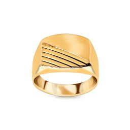 Zlatý pánský pečetní prsten IZ22420