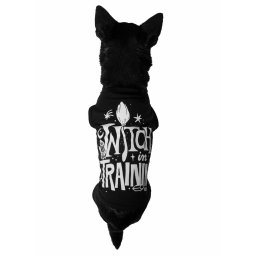 psí obleček KILLSTAR - Witch In Training - Black - KSRA004758
