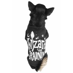 psí obleček KILLSTAR - Wizard In Training - Black - KSRA004760