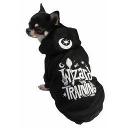 psí obleček KILLSTAR - Wizard In Training - Black - KSRA004759