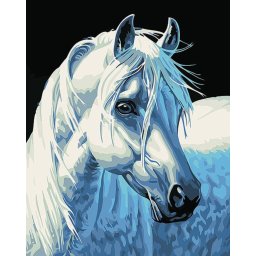 Gaira® Malování podle čísel Bílý kůň M1387