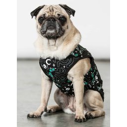 psí obleček KILLSTAR - Cthulhu - Black - KSRA005362