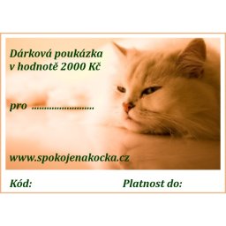 Dárková poukázka v hodnotě 2000 Kč