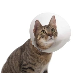 Ochranný límec Classic Collar 10cm