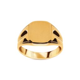 Zlatý pečetní prsten s matováním IZ22452
