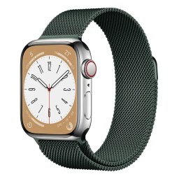Řemínek iMore MILANESE LOOP Apple Watch Series 3/2/1 (38mm) - Cangling Green