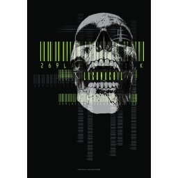 vlajka Lacuna Coil - Skull - HFL0834