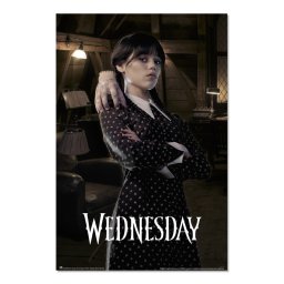 plakát WEDNESDAY - ROOM - GPE5749